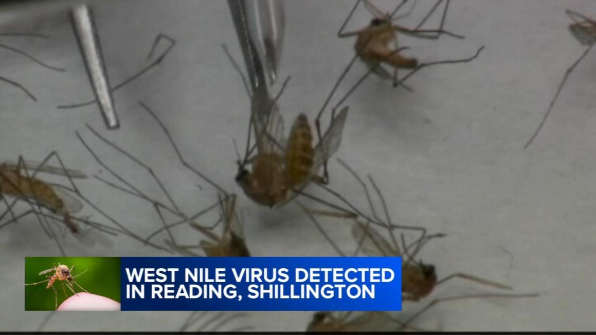 17491868 081025 wpvi berks co west nile 930 video vid