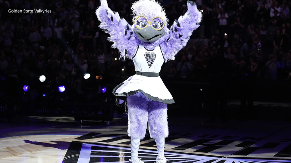 Trứng tím bí ẩn "nở", tiết lộ Violet Quạ là linh vật của Golden State Valkyries 1 17508152 081125 kgo violet raven Golden State Valkyries img