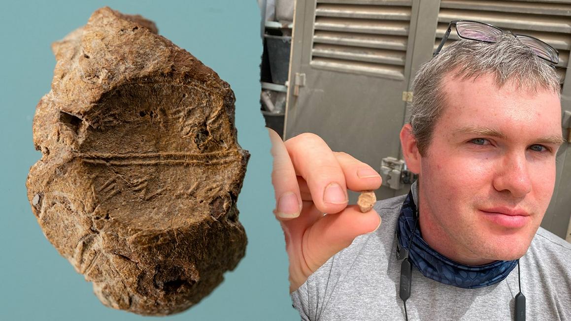 israel temple mount sifting discovery redo