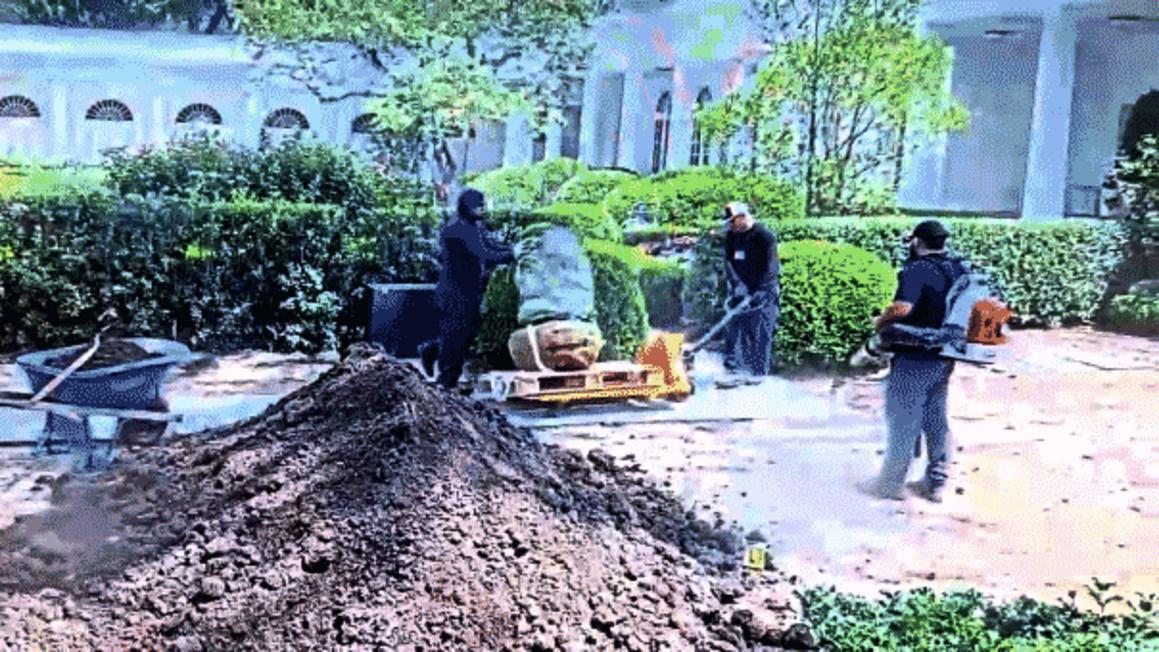 rose garden damage white house