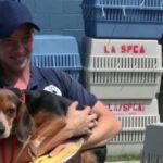 Houston Cứu Vớt Chúng Tôi: SPCA Louisiana Nhớ Lại Vai Trò Cứu Sinh Của Houston Cho Vật Nuôi Trong Bão Katrina