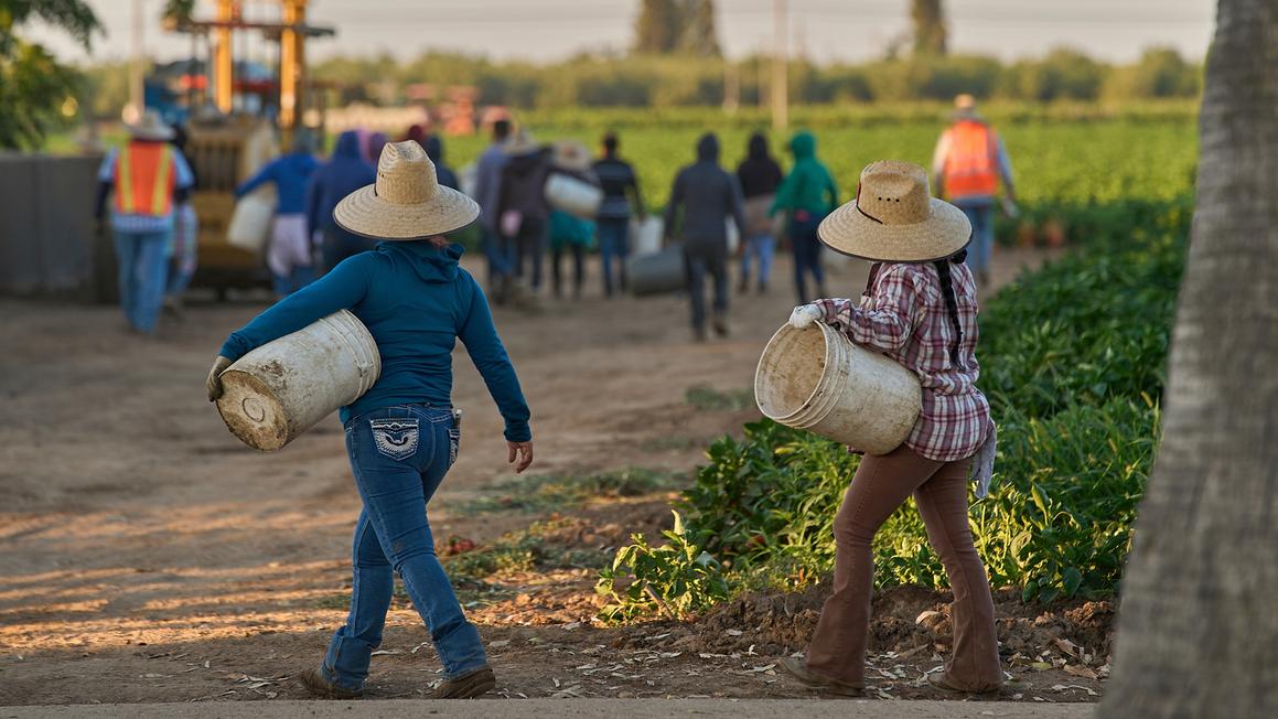 17713122 farmers central CA img 2