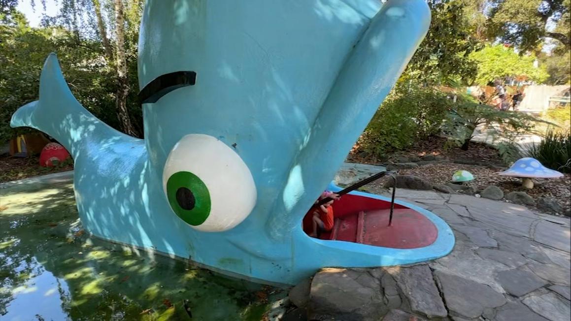 17715257 090125 kgo fairyland whale img