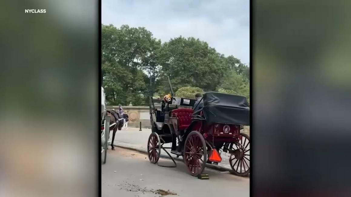 17716528 090125 horse carriage