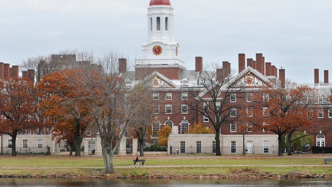17732954 harvard img