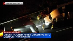 Người lái xe bị thương khi đâm vào hươu trên đường Pennsylvania Turnpike 26 Người lái xe bị thương khi đâm vào hươu trên đường Pennsylvania Turnpike