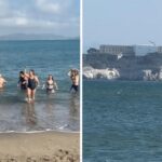 Bơi Vượt Ngục Alcatraz Gây Quỹ Học Bổng Cho Sinh Viên Không Giấy Tờ 28 Bơi Vượt Ngục Alcatraz Gây Quỹ Học Bổng Cho Sinh Viên Không Giấy Tờ