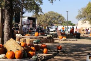 13 Sự kiện Mùa Thu Ở Đông Bắc San Antonio Tháng 10, Tháng 11 15 13 Sự kiện Mùa Thu Ở Đông Bắc San Antonio Tháng 10, Tháng 11