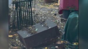 Nghi ngờ chó được nhận nuôi từ trại lại bị dồn vào tình trạng tích trữ quá mức ở Bellflower, theo hàng xóm 4 Nghi ngờ chó được nhận nuôi từ trại lại bị dồn vào tình trạng tích trữ quá mức ở Bellflower, theo hàng xóm