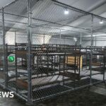 Tòa Phúc thẩm cho phép trung tâm di trú ‘Alligator Alcatraz’ tiếp tục hoạt động