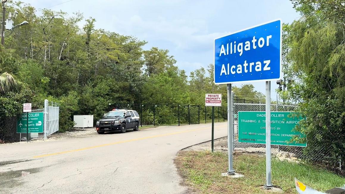 Alligator Alcatraz 1 abc gmh