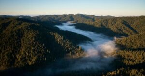 Apple công bố đầu tư mới vào Quỹ Restore 7 Apple công bố đầu tư mới vào Quỹ Restore