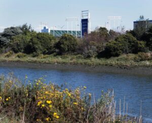 Khu liên hợp Oakland Coliseum xả nước ngầm xuống vịnh nhiều năm không phép 26 Khu liên hợp Oakland Coliseum xả nước ngầm xuống vịnh nhiều năm không phép