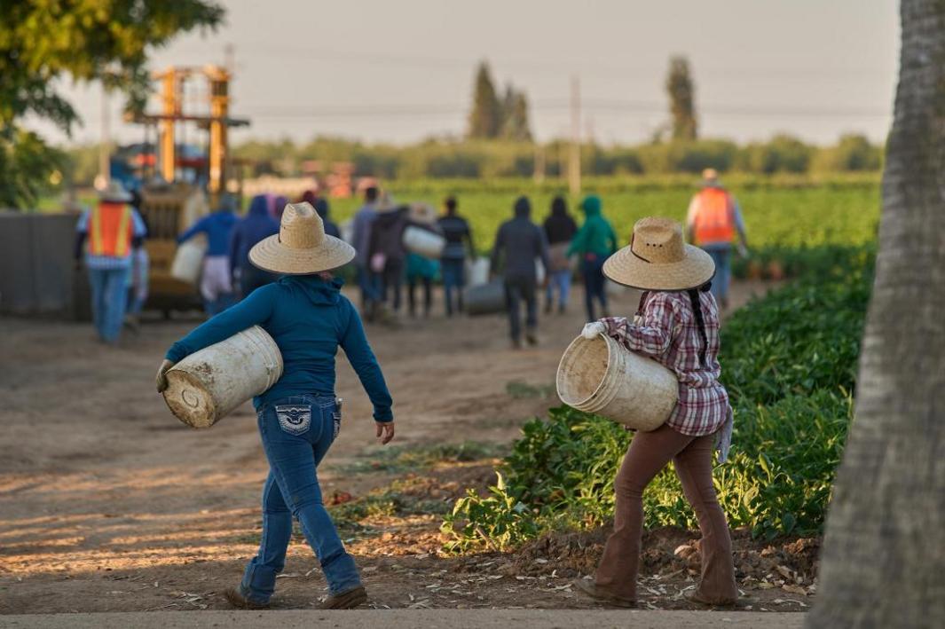 Labor Day Immigrant Labor 18295 1