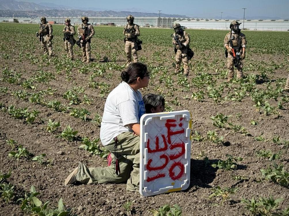 Labor Day Immigrant Labor 46755