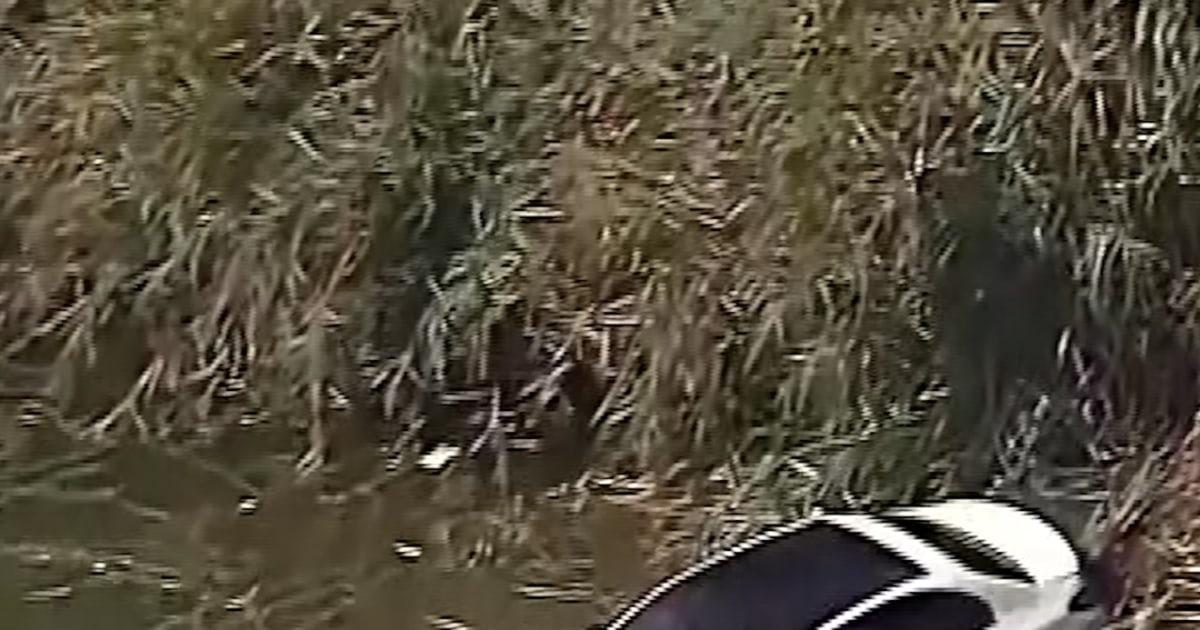 NannyCrash l0622w