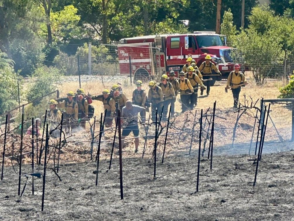 SJM L PALOFIRE 0901