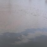 2,500 Gallon sewage overflow into Galveston canal