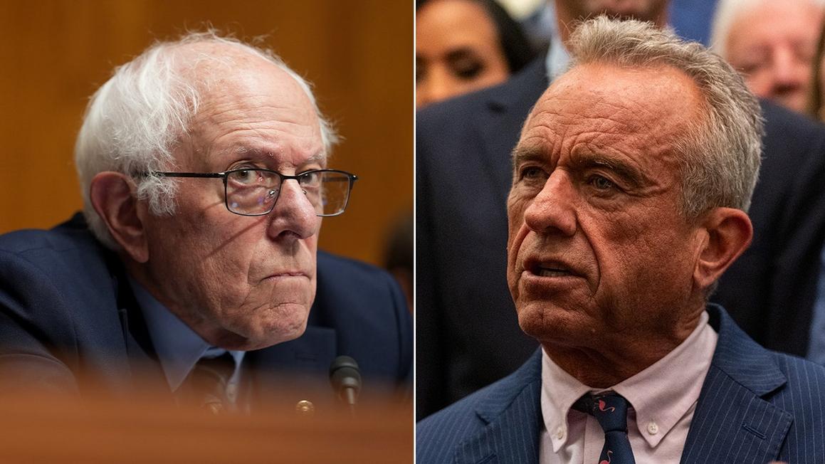 bernie rfk jr split