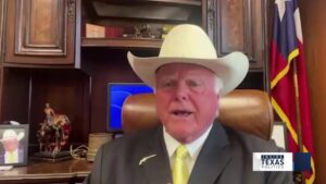 Nông dân Texas đối mặt nghịch lý: Mùa màng bội thu, giá cả thấp 6 Nông dân Texas đối mặt nghịch lý: Mùa màng bội thu, giá cả thấp