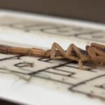Phụ nữ Texas dọn nhà vì bị bọ cạp ‘tấn công’ hàng tuần