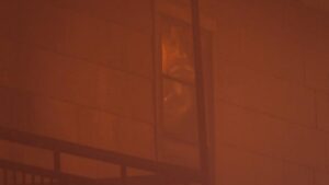 Lính cứu hỏa Houston dập tắt hỏa hoạn chung cư gần UH, 2 người bị thương 9 Lính cứu hỏa Houston dập tắt hỏa hoạn chung cư gần UH, 2 người bị thương