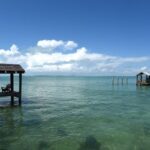 Cá mập cắn cậu bé ở Florida Keys, cần trực thăng cấp cứu đến Miami
