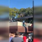 Người Cha Anh Hùng Chia Sẻ Câu Chuyện Cứu Bé Trai Khỏi Đường Ray Monorail Ở Hersheypark