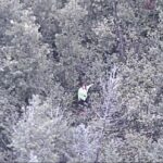 Nữ thí sinh tham gia show sinh tồn trên YouTube được giải cứu sau 18 tiếng lạc trong rừng 14 Nữ thí sinh tham gia show sinh tồn trên YouTube được giải cứu sau 18 tiếng lạc trong rừng