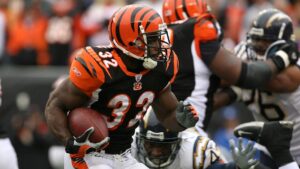 Cựu sao NFL Rudi Johnson qua đời ở tuổi 45 11 Cựu sao NFL Rudi Johnson qua đời ở tuổi 45