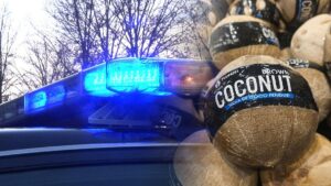 Lực lượng xử lý bom được điều động đến công viên tiểu bang Washington vì quả dừa bị nghi là bom 8 Lực lượng xử lý bom được điều động đến công viên tiểu bang Washington vì quả dừa bị nghi là bom