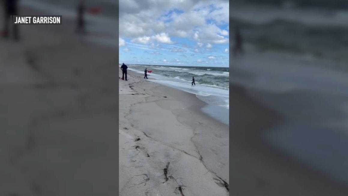shore drowning