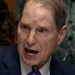 Thượng nghị sĩ Wyden yêu cầu tuyên thệ với RFK Jr., Thượng nghị sĩ Crapo từ chối