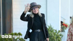 Gia đình gửi lời cảm ơn sau tin nữ diễn viên Diane Keaton qua đời 25 Gia đình gửi lời cảm ơn sau tin nữ diễn viên Diane Keaton qua đời