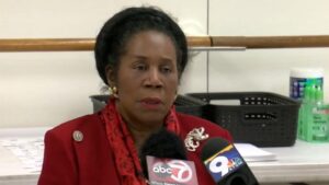 Khu vực bầu cử đặc biệt tại Quận 18 của Houston 18 Khu vực bầu cử đặc biệt tại Quận 18 của Houston