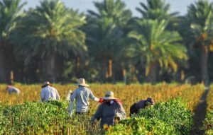 Doanh Nghiệp và Dân Biểu California Đẩy Mạnh Tranh Cãi về Nhiệt Độ Nơi Làm Việc 3 Doanh Nghiệp và Dân Biểu California Đẩy Mạnh Tranh Cãi về Nhiệt Độ Nơi Làm Việc