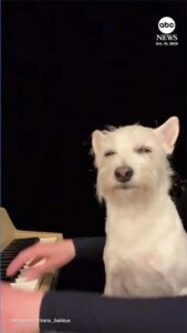 Nhiều người chết trong vụ nổ lớn tại nhà máy sản xuất thuốc nổ 11 Nhiều người chết trong vụ nổ lớn tại nhà máy sản xuất thuốc nổ