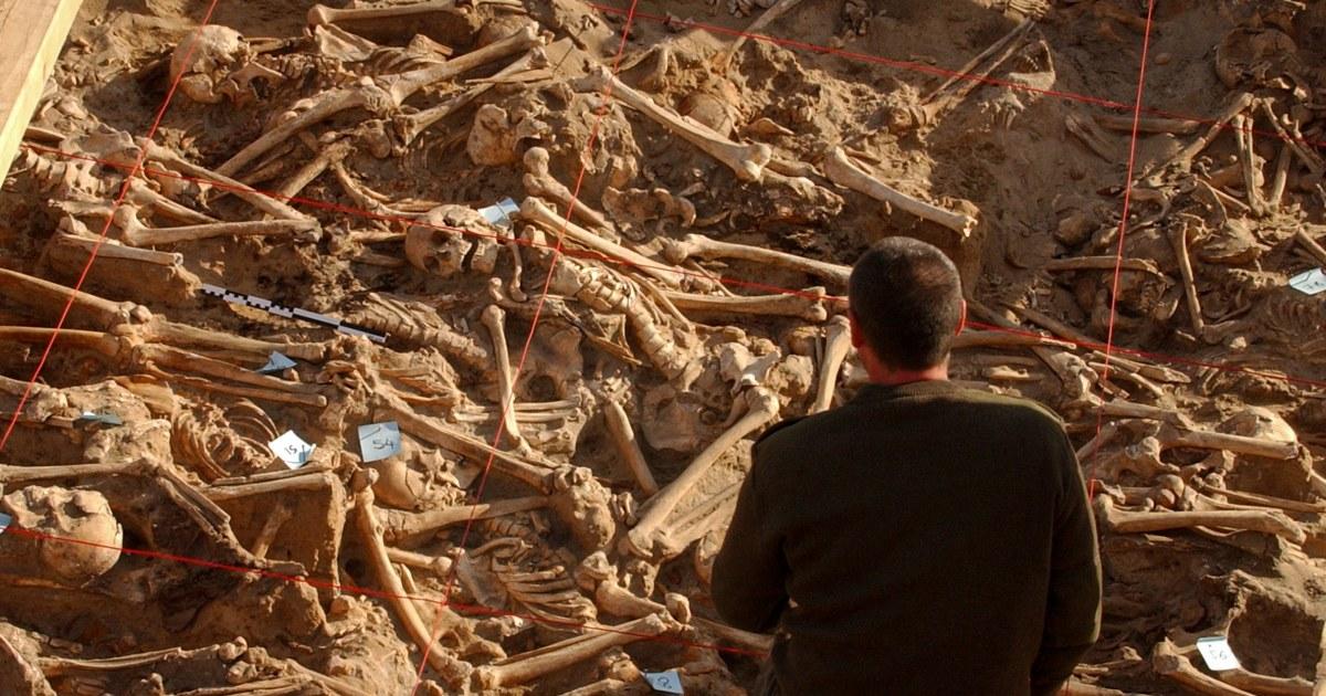 DNA Hé lộ Mầm Bệnh Giết Chết Quân Đội Napoleon 9 DNA Hé lộ Mầm Bệnh Giết Chết Quân Đội Napoleon