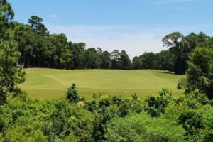 Sân Golf The Links at West Fork Tái Khai Trương Với Sân Cỏ, Khu Tập Đánh Đã Nâng Cấp 2 Sân Golf The Links at West Fork Tái Khai Trương Với Sân Cỏ, Khu Tập Đánh Đã Nâng Cấp