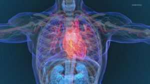 Nghiên Cứu: 99% Nạn Nhân Đột Quỵ, Nhồi Máu Cơ Tim Có Yếu Tố Nguy Cơ Chung 10 Nghiên Cứu: 99% Nạn Nhân Đột Quỵ, Nhồi Máu Cơ Tim Có Yếu Tố Nguy Cơ Chung