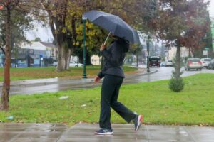 Bão tố sắp đổ bộ Vùng Vịnh 8 Bão tố sắp đổ bộ Vùng Vịnh