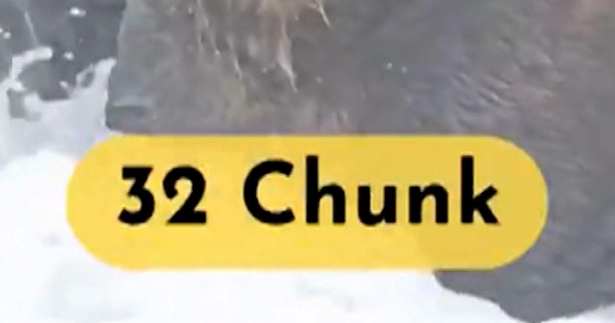 Chú gấu Chunk giành ngôi quán quân "Gấu béo" năm 2025 1 FatBear