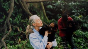Jane Goodall, nhà nhân chủng học và nhà bảo tồn nổi tiếng, qua đời ở tuổi 91 19 Jane Goodall, nhà nhân chủng học và nhà bảo tồn nổi tiếng, qua đời ở tuổi 91