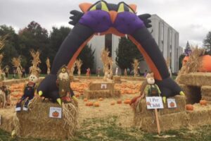 Oakland: Các sự kiện Halloween yêu thích 7 Oakland: Các sự kiện Halloween yêu thích