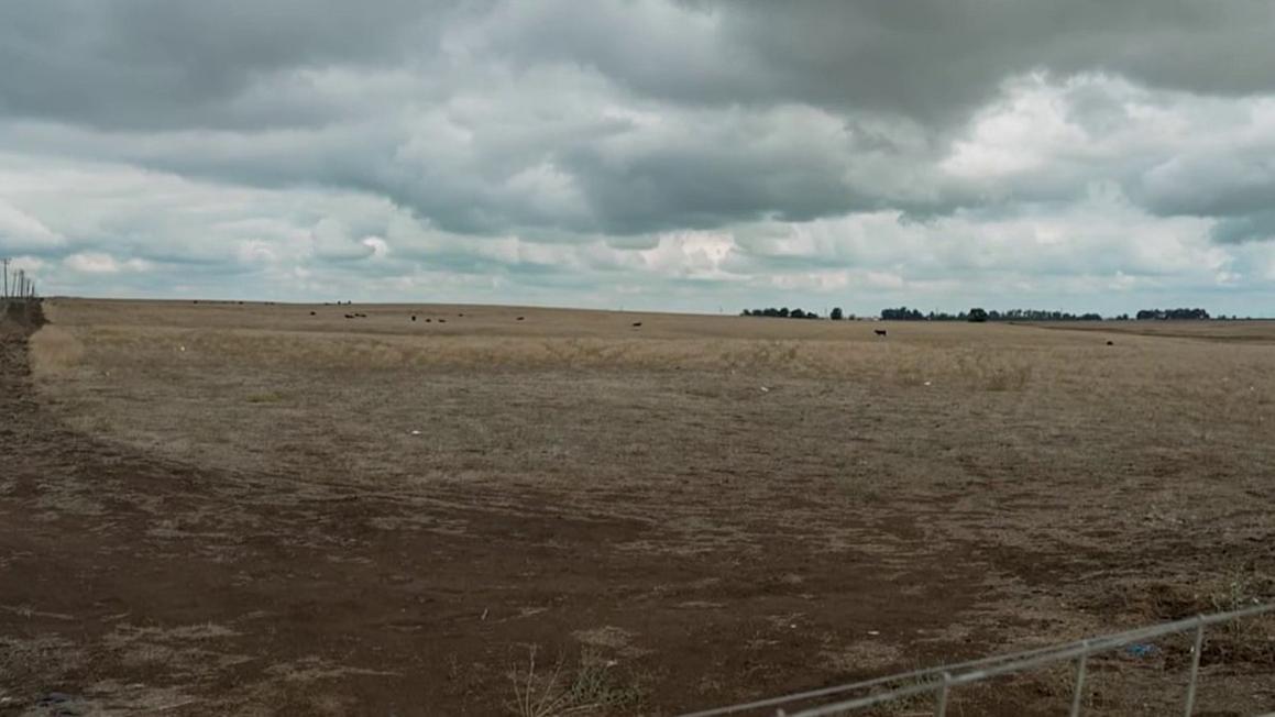 Đề xuất "California Forever" tại Hạt Solano lại gây tranh cãi 1 New California Forever proposal in Solano County sparks debate 1