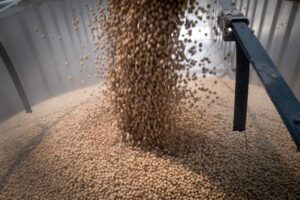 Ông Trump và 'Farmageddon': Nông dân Mỹ điêu đứng vì chiến tranh thương mại 15 Ông Trump và ‘Farmageddon’: Nông dân Mỹ điêu đứng vì chiến tranh thương mại