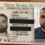 Bang New York bị đặt vào tình thế khó xử sau khi ICE bắt giữ người nhập cư bất hợp pháp có tên trên giấy phép lái xe là 'KHÔNG TÊN' 29 Bang New York bị đặt vào tình thế khó xử sau khi ICE bắt giữ người nhập cư bất hợp pháp có tên trên giấy phép lái xe là ‘KHÔNG TÊN’