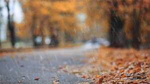 Thời tiết Lễ Tạ Ơn 2025: Dự báo từ The Old Farmer's Almanac 3 Thời tiết Lễ Tạ Ơn 2025: Dự báo từ The Old Farmer’s Almanac