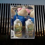 CBP chặn lô ma túy lớn ở biên giới Texas