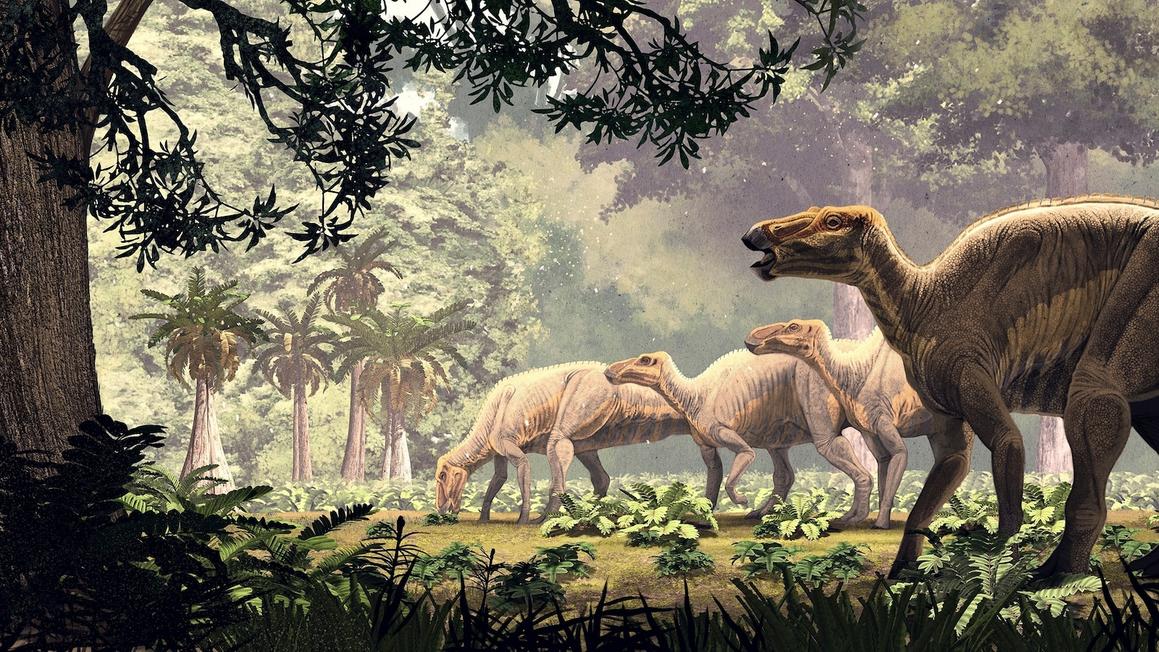 Phát hiện 'xác ướp' khủng long được bảo tồn tuyệt đẹp ở Wyoming 6 Phát hiện ‘xác ướp’ khủng long được bảo tồn tuyệt đẹp ở Wyoming